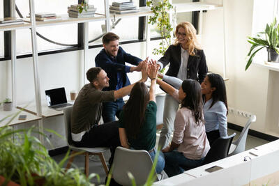 marketing team