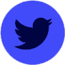 Twitter Icon