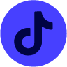 TikTok Icon