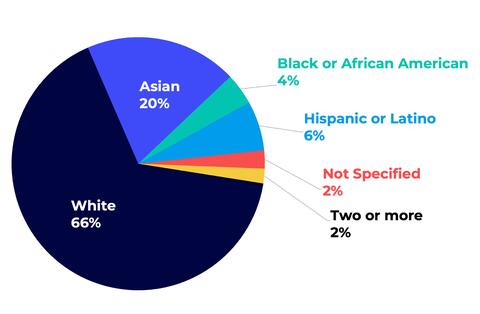 ethnicity chart